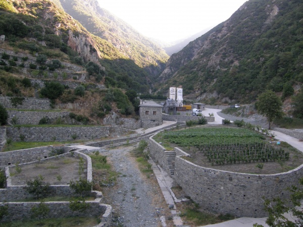 ����� ����������, ������.