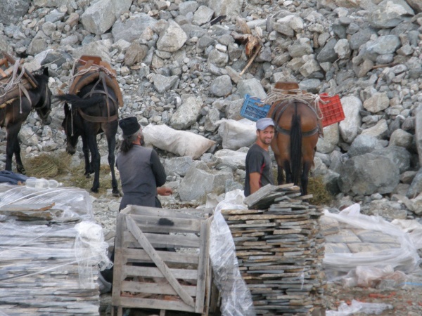 ������ ��������� ����, ������.