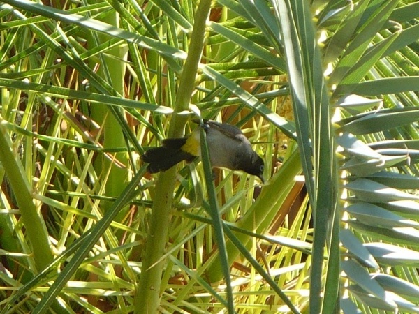 ������� ������, �����, ������.