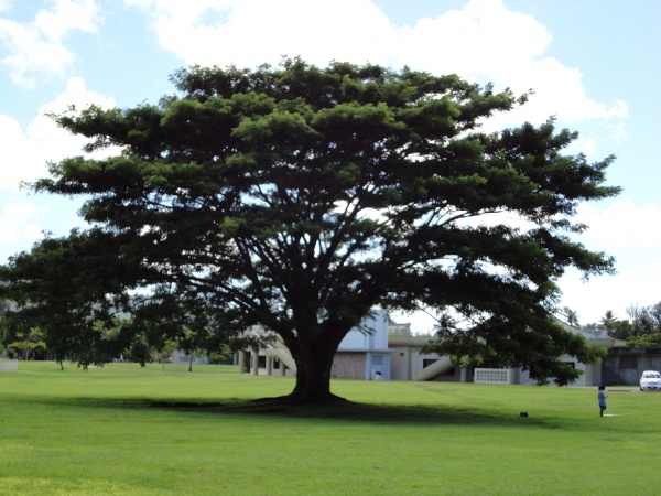 ��������� ������, �.������, �������� ���������� �������, ���.