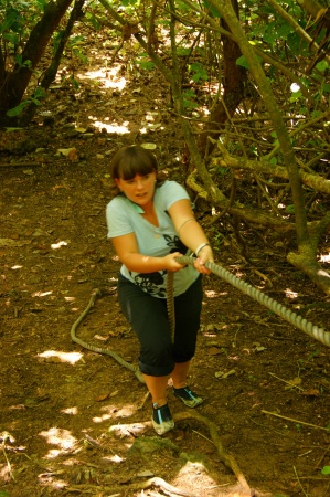 ��������� ������, �.������, �������� ���������� �������, ���.