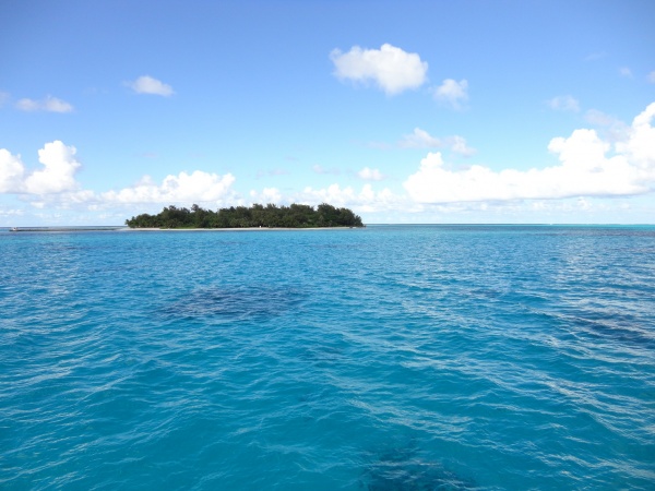 ��������, �.������, �������� ���������� �������, ���.