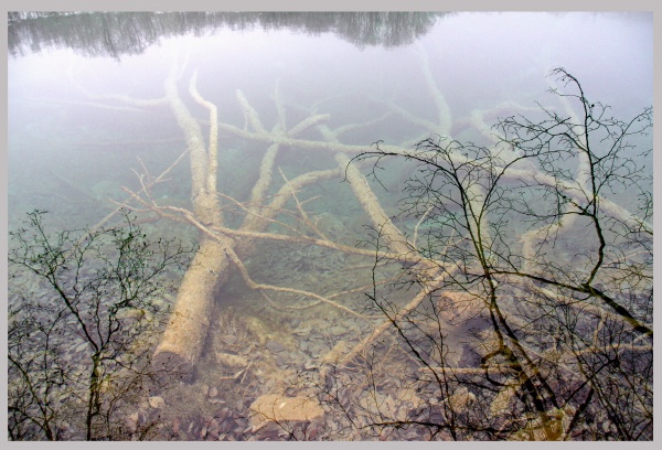 ����������� ������, ��������.