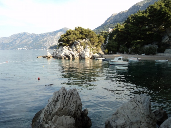 �����, ��������.