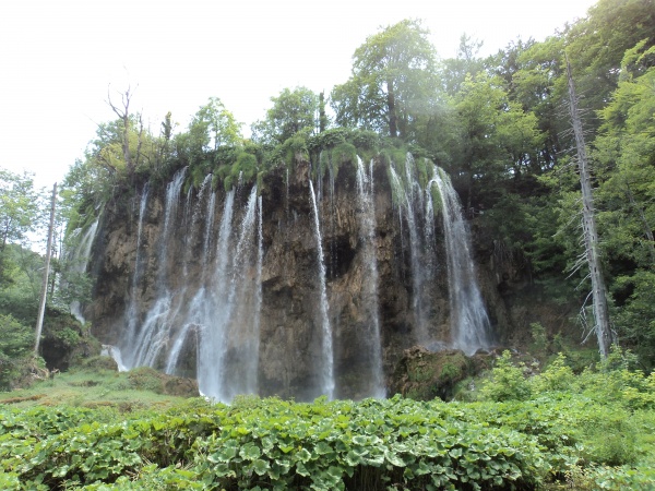 ���������� �����, �����, ��������.