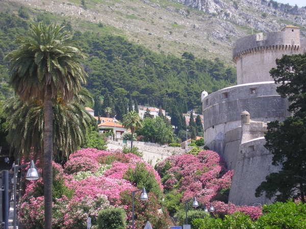 ���������, ��������.