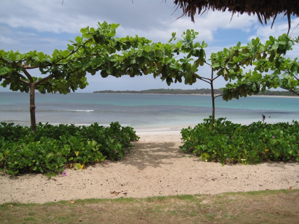 ����� ��� ����� ���������� � ���, Bula!