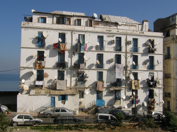 ����� �����, �����.