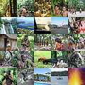 Вануату: тропинка в глубину веков