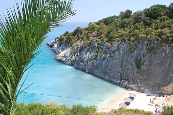 ���� �������