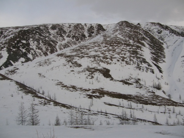 �������� ����