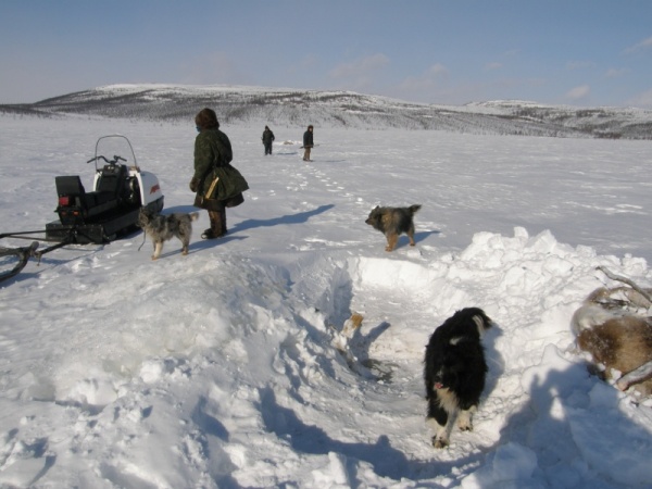 ������� �� �����