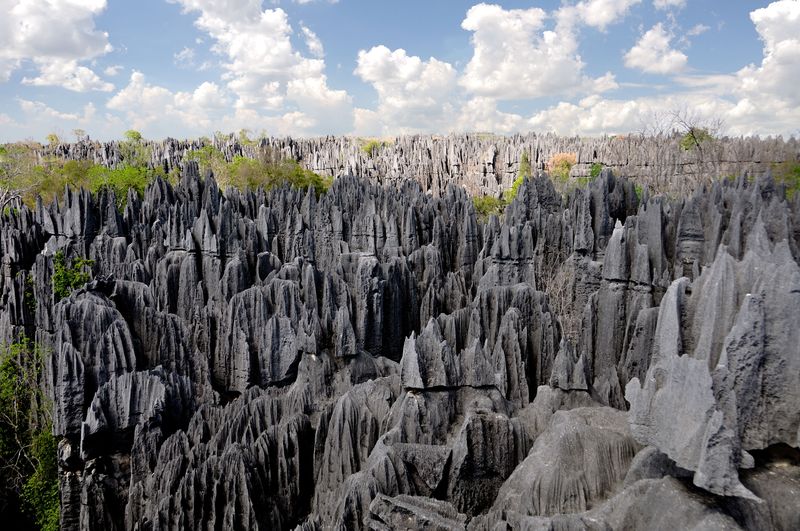 Парки центрального Мадагаскара и немножко юга. Отчёт с фото.