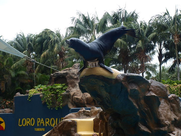 ��� ������� �������