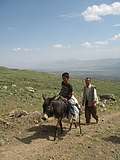Курды в пути (768x1024 216Kb)