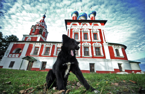 ������� �������� �� ����� ����������� �� ����� ������ ������������� ��������<br>� ��� �������. �������� ����������