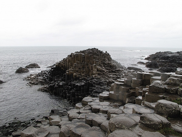 \"����� ��������\" �������� ��������