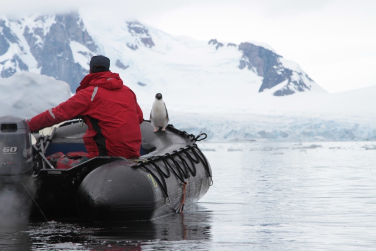 .���������� ��������