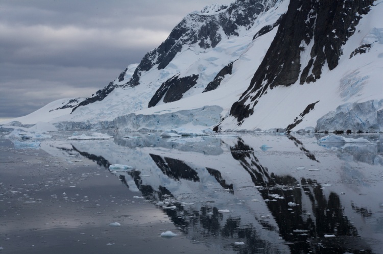 .������������� ������