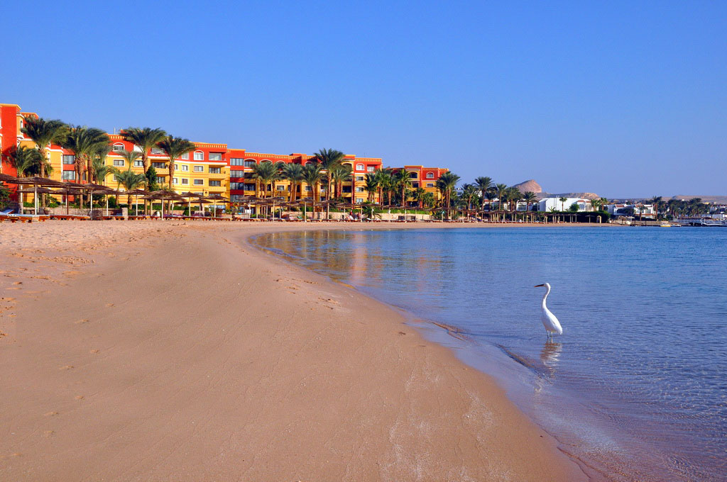 ���� ��������� "���������" � �������