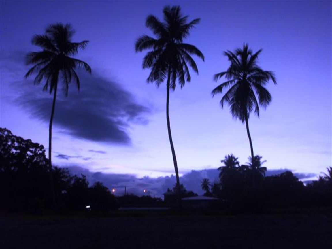 Парамарибо - город утренней зари. | Суринам | фотографии к рассказам ...