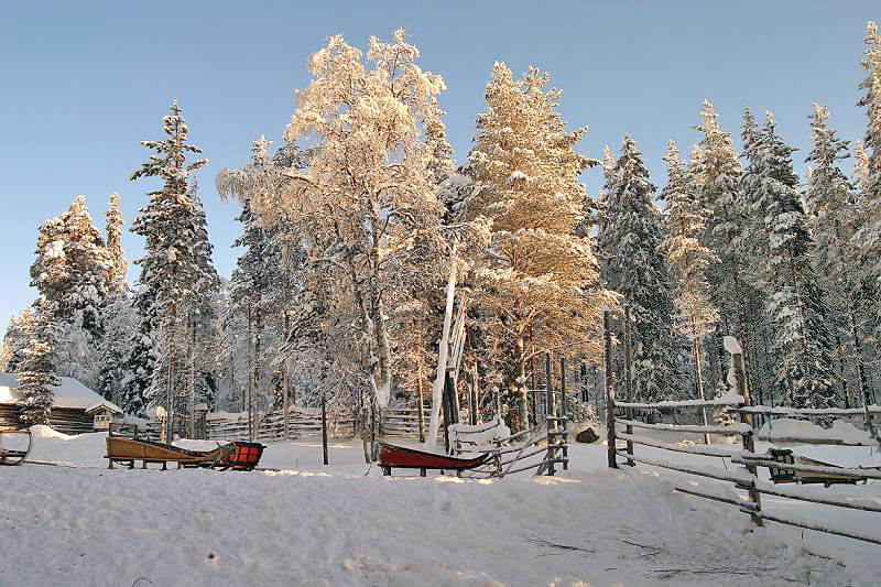 Сани. Лапландия. Финляндия. | Финляндия | фотографии к рассказам ...