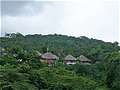 Отель Camino Real Tikal