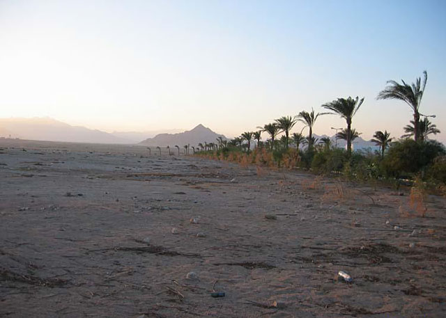 Типичный ландшавт Синая, Египет.