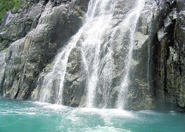 ������� "�����" - �� ���� �� ���� ����, ��������.