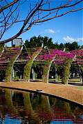 Southbank, Brisban, QLD, . (683x1024 468Kb)