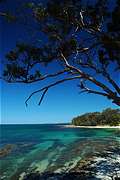 Jervis Bay, NSW, . (681x1024 160Kb)