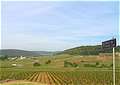 Burgundy, . (800x569 116Kb)