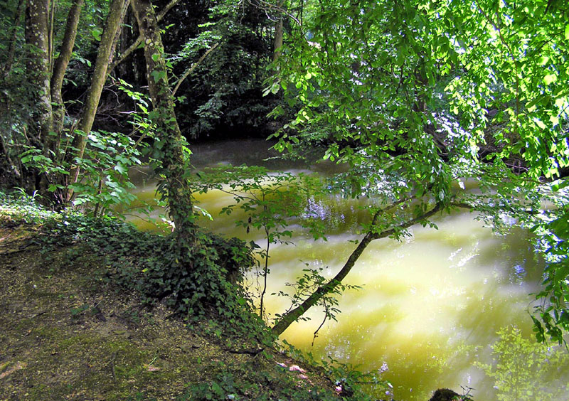 Burgundy, �������.