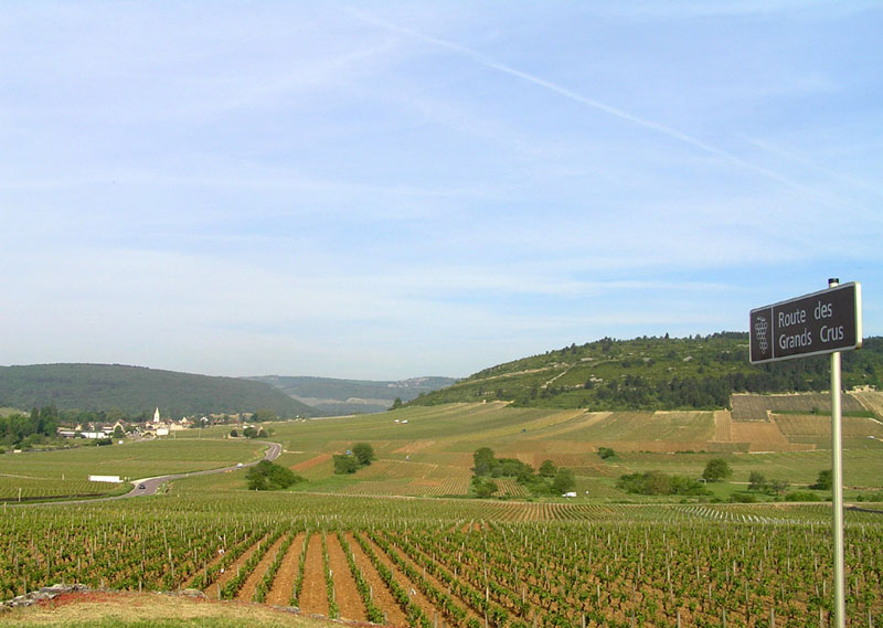 Burgundy, �������.