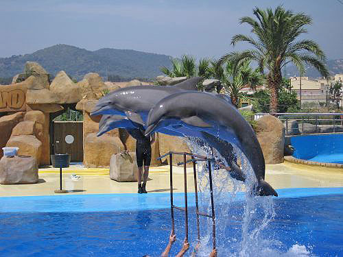 Marineland, �������.