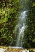 Erskine Falls, Lorne, , .