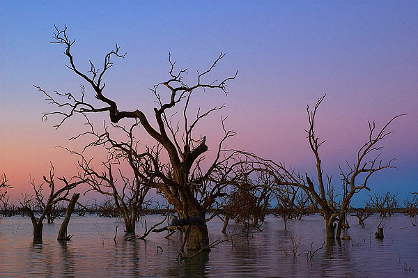 Kinchega Natonal Park, NSW, 