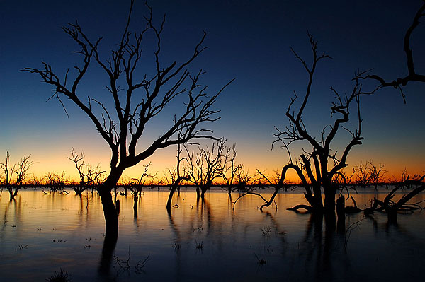 Kinchega Natonal Park, NSW, 