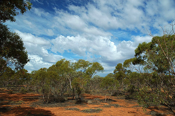 ,    Mungo Natonal Park, NSW, 