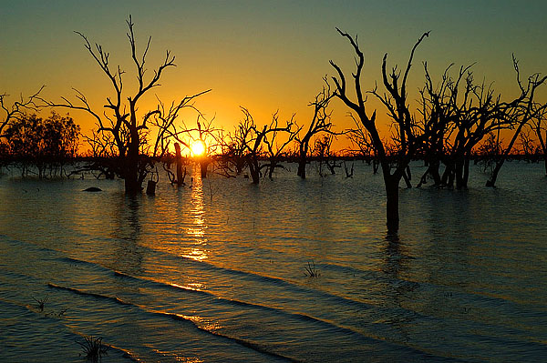 Kinchega Natonal Park, NSW, 