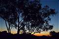 Закат, Whitegum Lookout, Warrumbungle NP, NSW, Австралия (600x399 125Kb)