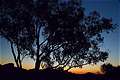 , Whitegum Lookout, Warrumbungle NP, NSW,  (600x399 125Kb)