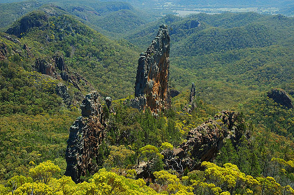 Breadknife    Lugh`s Thron, Warrumbungle NP,   Coonabarabran, NSW, 