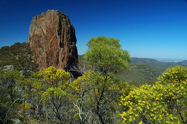 Finola Pinnacle    Lugh`s Thron, Warrumbungle NP,   Coonabarabran, NSW, 