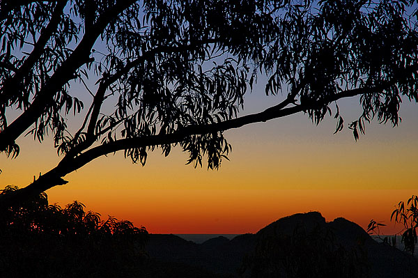 , Whitegum Lookout, Warrumbungle NP, NSW, 