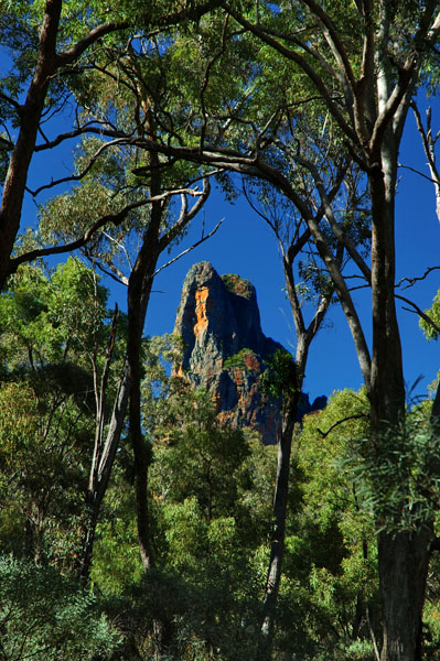 Bress Peak   , Warrumbungle NP,   Coonabarabran, NSW, 