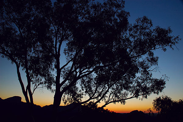 , Whitegum Lookout, Warrumbungle NP, NSW, 