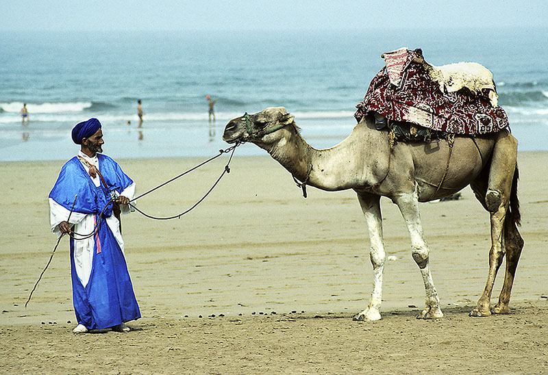 ������, �������.