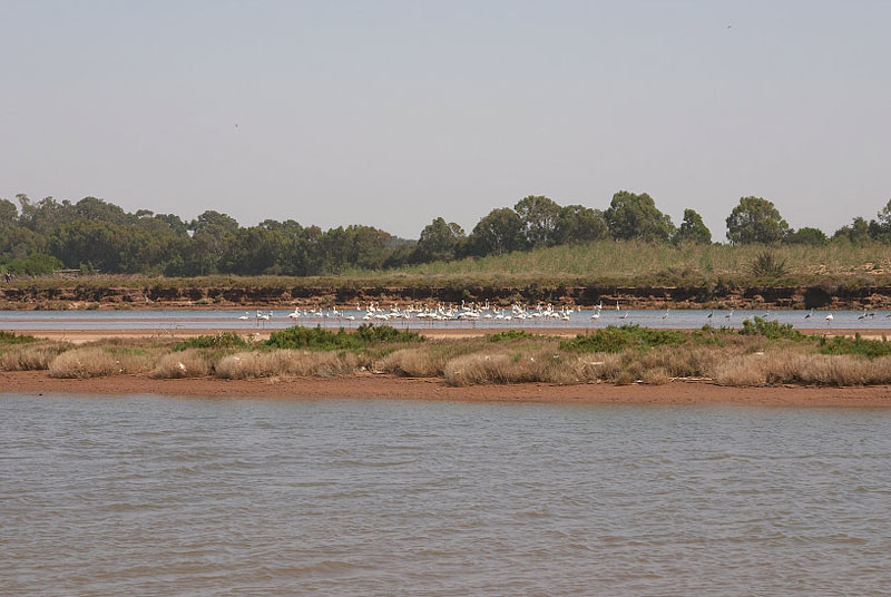 �������.