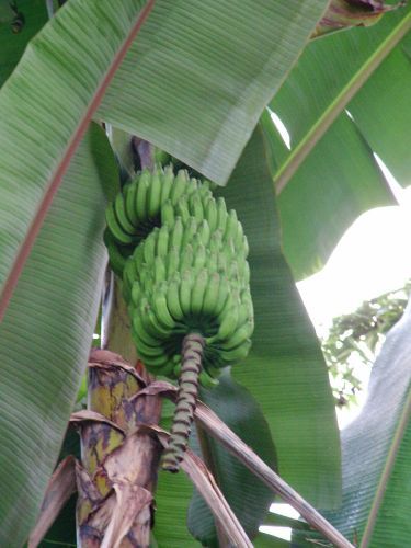 �� ������ ��� ������ ������, ���-�����.